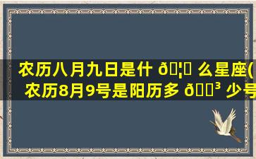农历八月九日是什 🦋 么星座(农历8月9号是阳历多 🌳 少号)